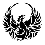 DarkFuzed's Friends And Followers