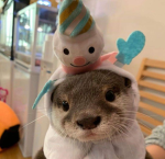 Edith Group