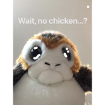 no chicken…