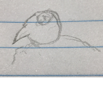 Birdman place