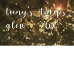•~tiiny's tulips glow~•