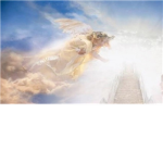 w.o.h ( warriors of heaven)