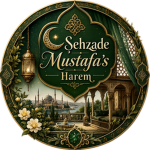 Şehzade Ibrahim Harem