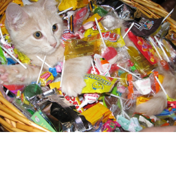 Candy city