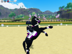 Horselovers123