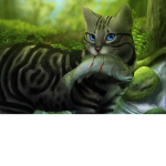 Gatos guerreros! | |