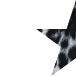 ⋆ ˚ ⭐︎ ｡ ⋆