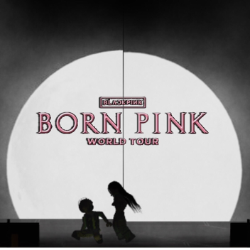 Born Pink Tour