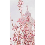 Cute~~BLOSSOMS~~
