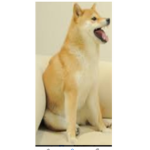 Doge meme ers