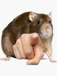 Cecetv group