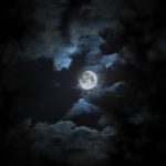 Moonlight queen
