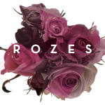 Rozes Clothing