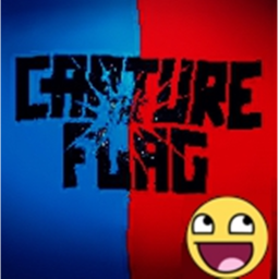 Capture the flag