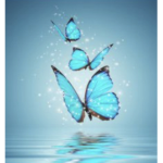 Pastel Butterflies!!!