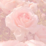 BFFs frends families and supporters Tysm