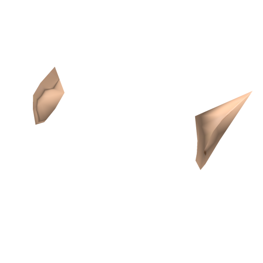 Elf Ears