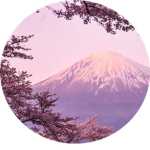 Sakura River