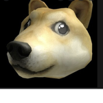 myy doge fans