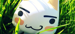 The lose r s