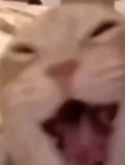 ??????????????????18