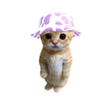ayo bloom