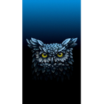 Iidaqw
