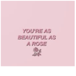 ~| My Rosie Group |~
