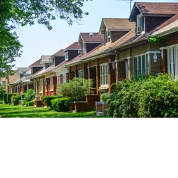Harvard Chicago icon