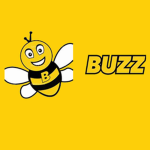 Buzz Air A British low-cost airline