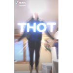 A e s t h e t i c H o m e