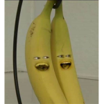 Funky banana club