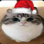 Hehehys