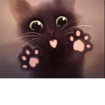 Chaton ne