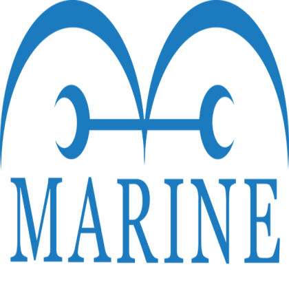 Marine One Piece Logo Roblox decal