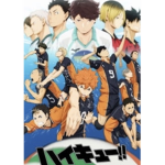 The volley ball group