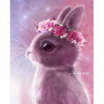 Bunny girls xd