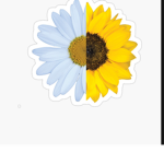 Sunflower and Daisys