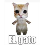 El-Gato Cult