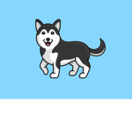 the siberian husky