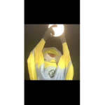 bobbuxismymom