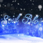soul blox