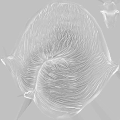 Leak asset thumbnail