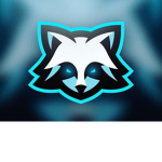 Asasin Team