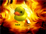 T.E.D.I.C
