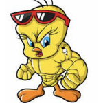 Tweety’s Clan