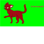 ~WillowClan~