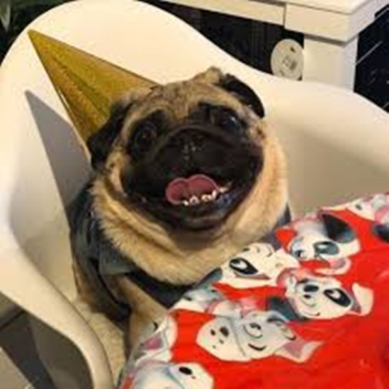 Alex's birthday bash