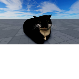 meet maxwell the cat!