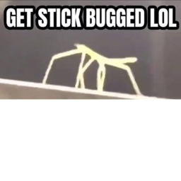 help or kill